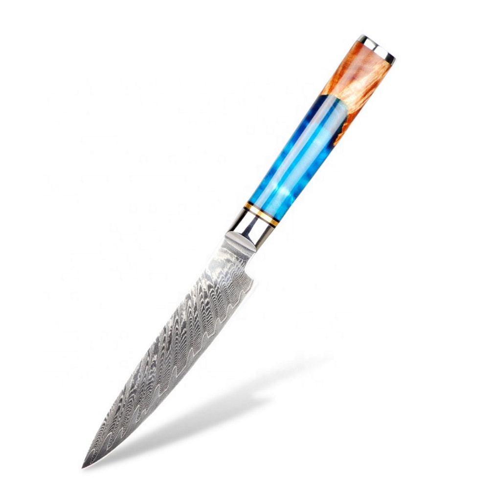 Aiko Blue (あいこ, アイコ) Damascus Steel Knife with Coloured Blue Resin Handle - 6pcs Set | Santoku Knife